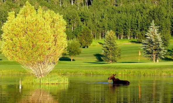 Eagle's Nest Ranch: 75 Perimeter Drive, Alta, WY 83414